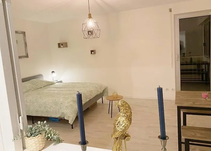 דירה Le Tivoli - Balcon Vue Jardin דיז'ון